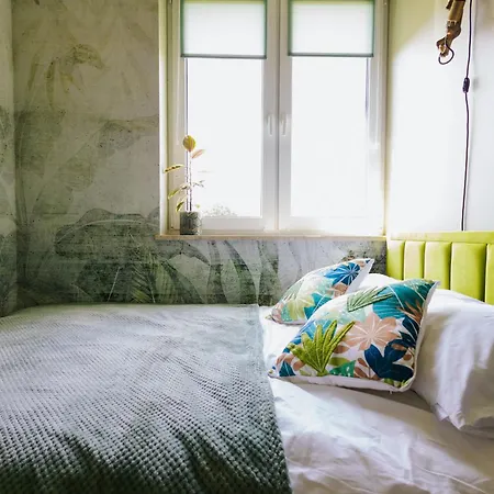 Jungle Chill&bed Apartament *