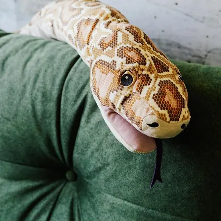 Jungle Chill&bed Appartement