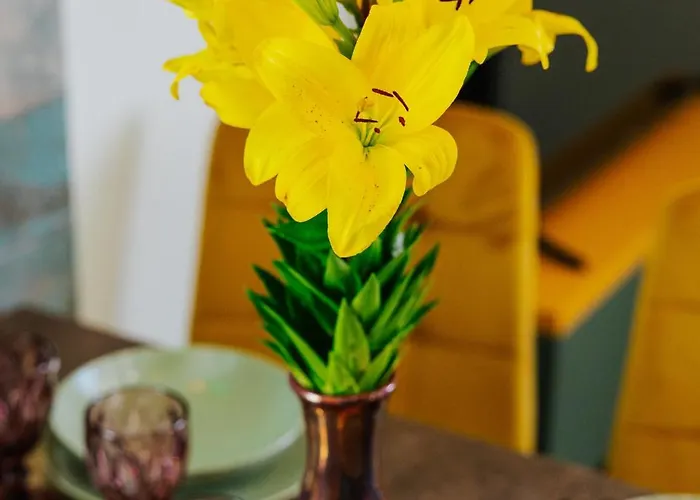 Jungle Chill&bed Apartmán Zator