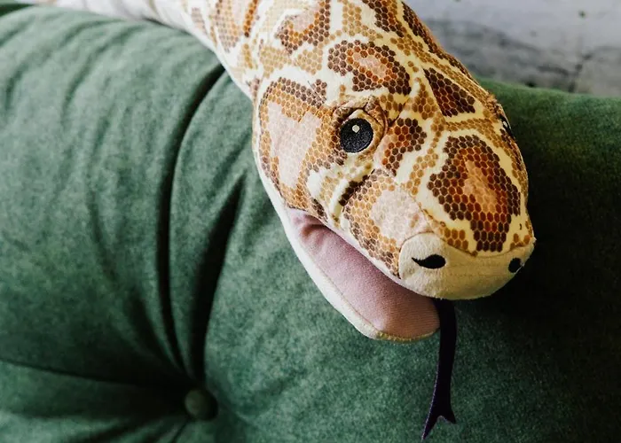 Jungle Chill&bed Apartmán